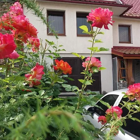 під горою Chata *