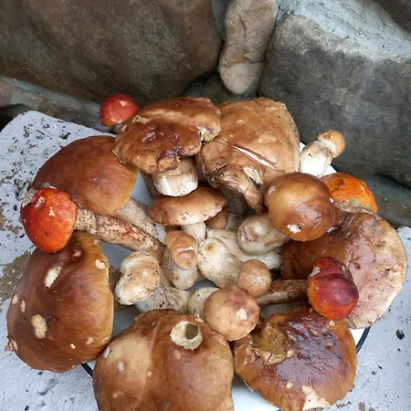 під горою Chata *