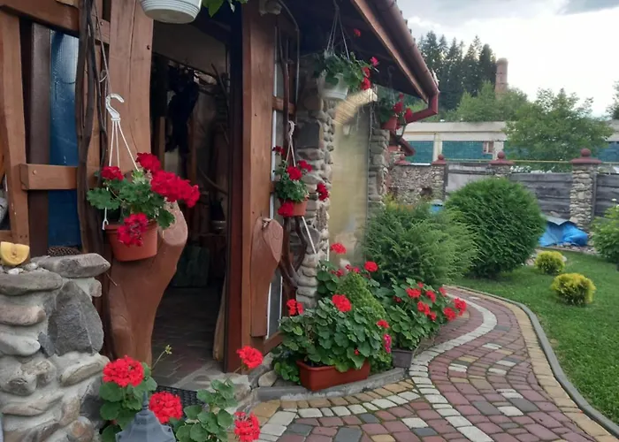 Orman Evi під горою Volovets